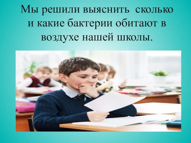 Мы решили выяснить сколько и какие бактерии обитают в воздухе нашей школы.