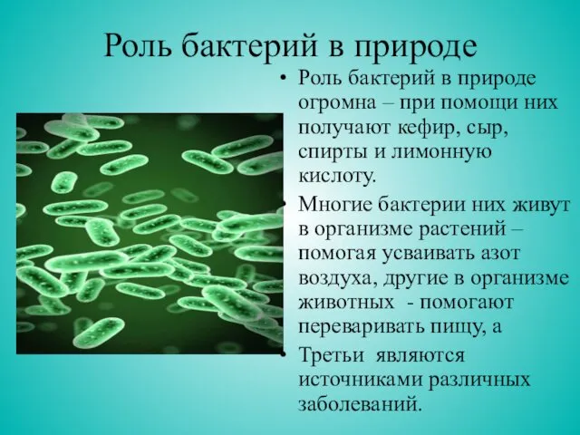 Роль бактерий в природе Роль бактерий в природе огромна – при помощи них