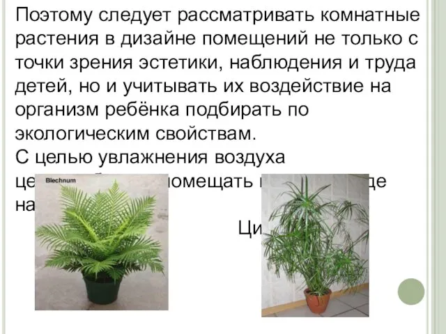 Поэтому следует рассматривать комнатные растения в дизайне помещений не только с точки зрения