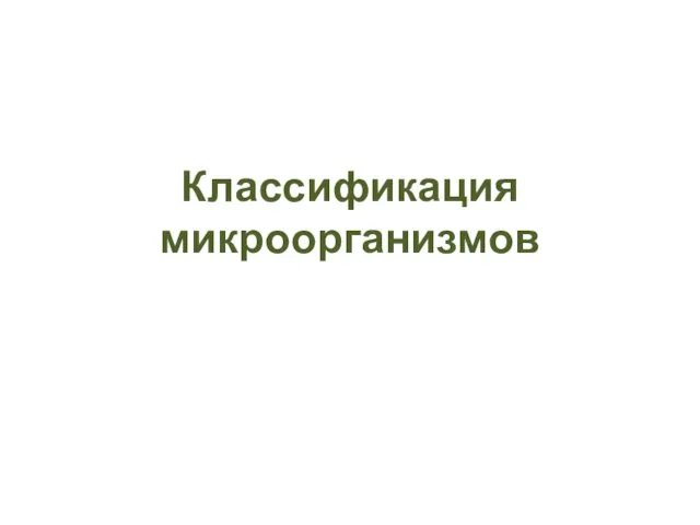 Классификация микроорганизмов