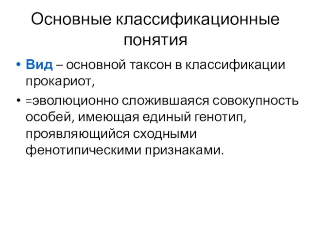 Основные классификационные понятия Вид – основной таксон в классификации прокариот,