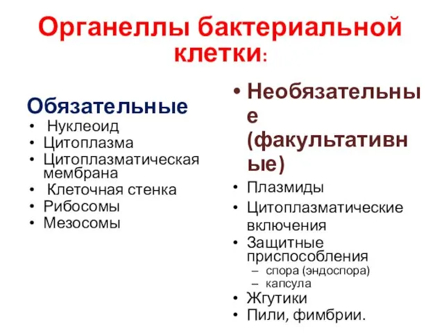 Органеллы бактериальной клетки: Обязательные Нуклеоид Цитоплазма Цитоплазматическая мембрана Клеточная стенка