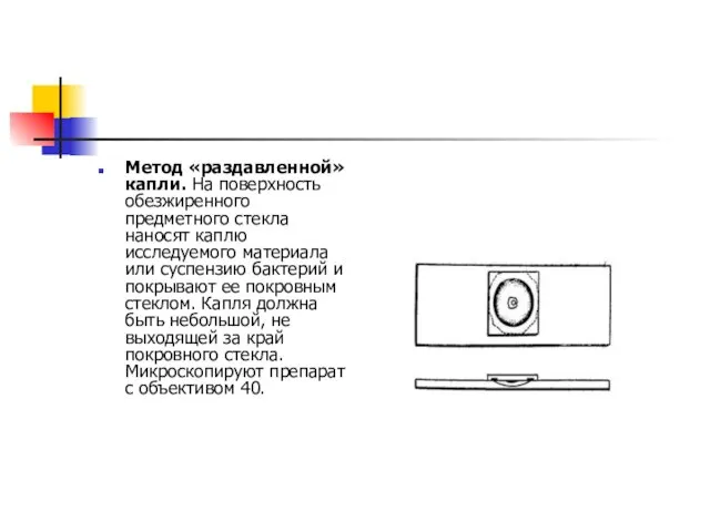 Метод «раздавленной» капли. На поверхность обезжиренного предметного стекла наносят каплю