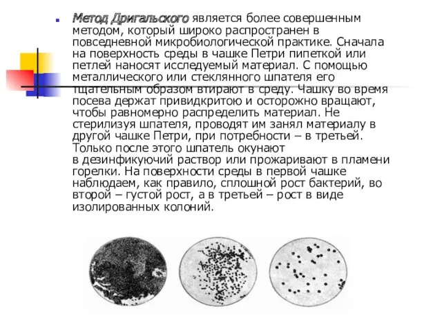 Метод Дригальского является более совершенным методом, который широко распространен в повседневной микробиологической практике.