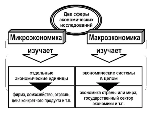 7 Понятие экономики