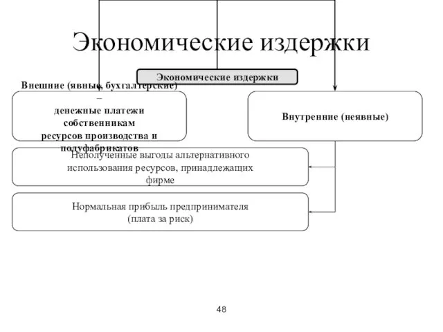 48 Экономические издержки