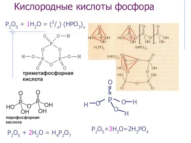 Кислородные кислоты фосфора P2O5+3H2O=2H3PO4 P2O5 + 1H2O = (2/x) (HPO3)x P2O5 + 2H2O = H4P2O7