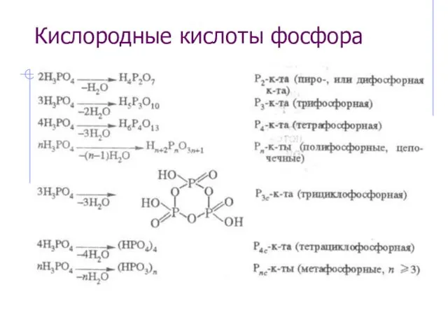 Кислородные кислоты фосфора