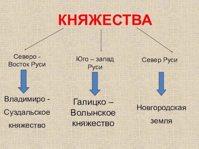 КНЯЖЕСТВА Владимиро - Суздальское княжество Галицко – Волынское княжество Новгородская