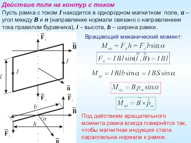 Действие поля на контур с током Пусть рамка с током