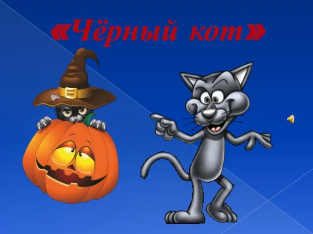 «Чёрный кот»