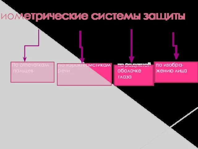 Биометрические системы защиты По отпечаткам по характеристикам по радужной по изобра- пальцев речи