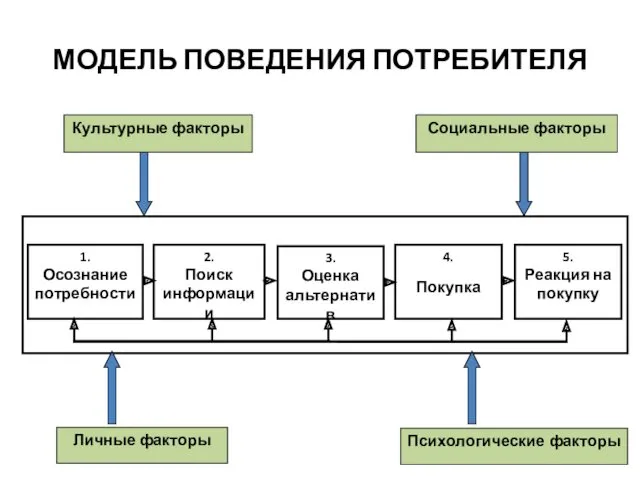 МОДЕЛЬ ПОВЕДЕНИЯ ПОТРЕБИТЕЛЯ