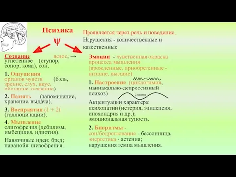 Психика Проявляется через речь и поведение. Нарушения - количественные и качественные Сознание ясное,