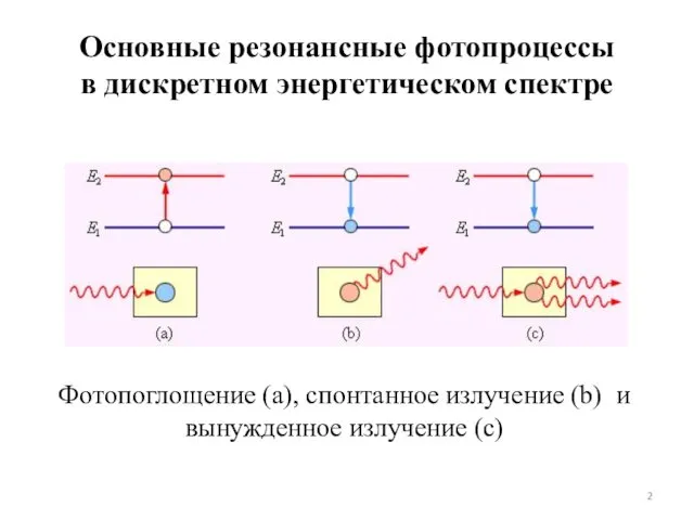 Основные резонансные фотопроцессы в дискретном энергетическом спектре Фотопоглощение (а), спонтанное излучение (b) и вынужденное излучение (c)