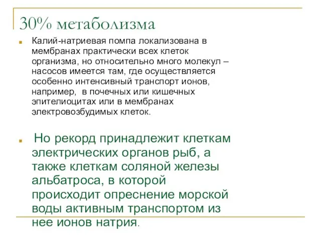 30% метаболизма Калий-натриевая помпа локализована в мембранах практически всех клеток