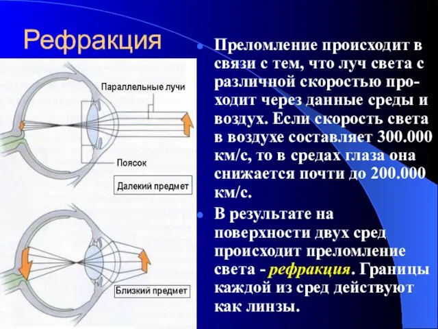 Рефракция Преломление происходит в связи с тем, что луч света