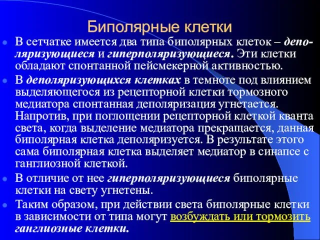 Биполярные клетки В сетчатке имеется два типа биполярных клеток –