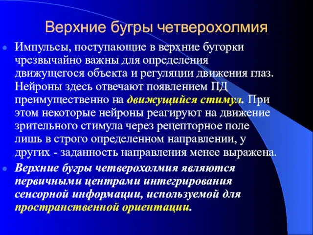 Верхние бугры четверохолмия Импульсы, поступающие в верхние бугорки чрезвычайно важны