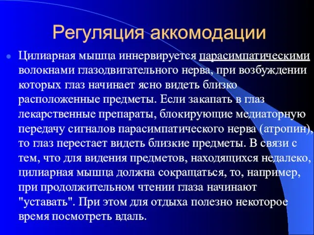 Регуляция аккомодации Цилиарная мышца иннервируется парасимпатическими волокнами глазодвигательного нерва, при