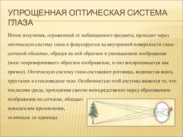 УПРОЩЕННАЯ ОПТИЧЕСКАЯ СИСТЕМА ГЛАЗА Поток излучения, отраженный от наблюдаемого предмета,