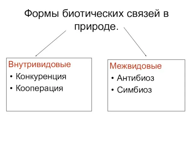 Формы биотических связей в природе. Внутривидовые Конкуренция Кооперация Межвидовые Антибиоз Симбиоз