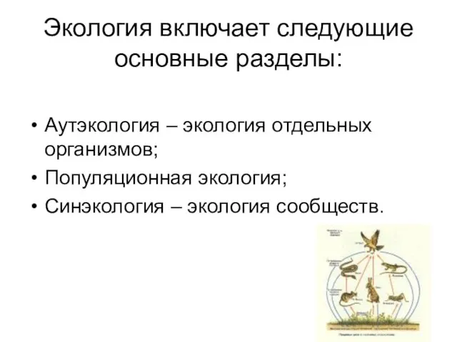 Экология включает следующие основные разделы: Аутэкология – экология отдельных организмов; Популяционная экология; Синэкология – экология сообществ.