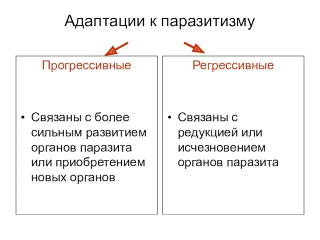 Адаптации к паразитизму Прогрессивные Связаны с более сильным развитием органов