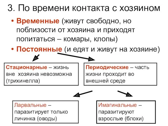 3. По времени контакта с хозяином Временные (живут свободно, но