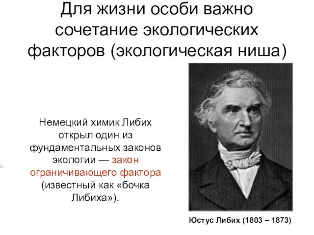 Немецкий химик Либих открыл один из фундаментальных законов экологии —