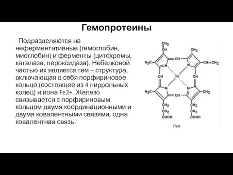 Гемопротеины Подразделяются на неферментативные (гемоглобин, миоглобин) и ферменты (цитохромы, каталаза,