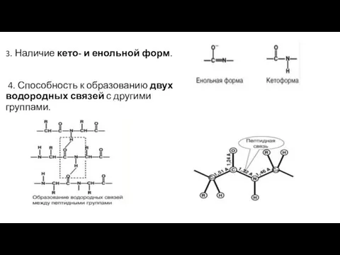 3. Наличие кето- и енольной форм. 4. Способность к образованию двух водородных связей с другими группами.