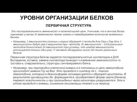 УРОВНИ ОРГАНИЗАЦИИ БЕЛКОВ ПЕРВИЧНАЯ СТРУКТУРА Это последовательность аминокислот в полипептидной