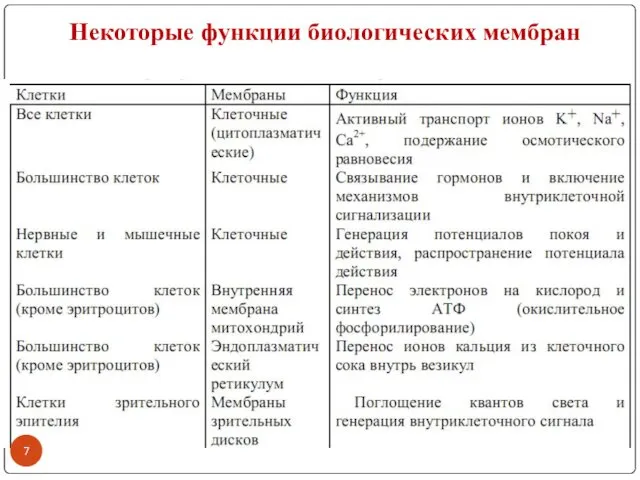 Некоторые функции биологических мембран