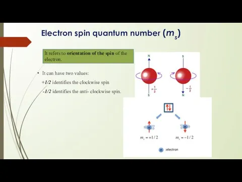 Electron spin quantum number (ms) It refers to orientation of