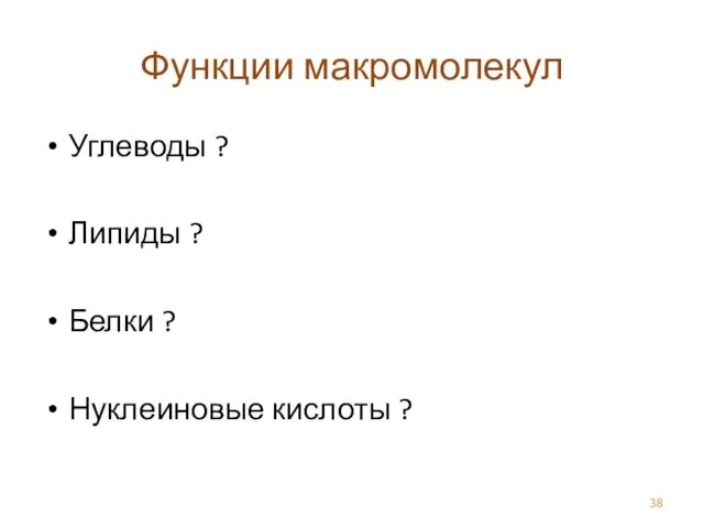 Функции макромолекул Углеводы ? Липиды ? Белки ? Нуклеиновые кислоты ?