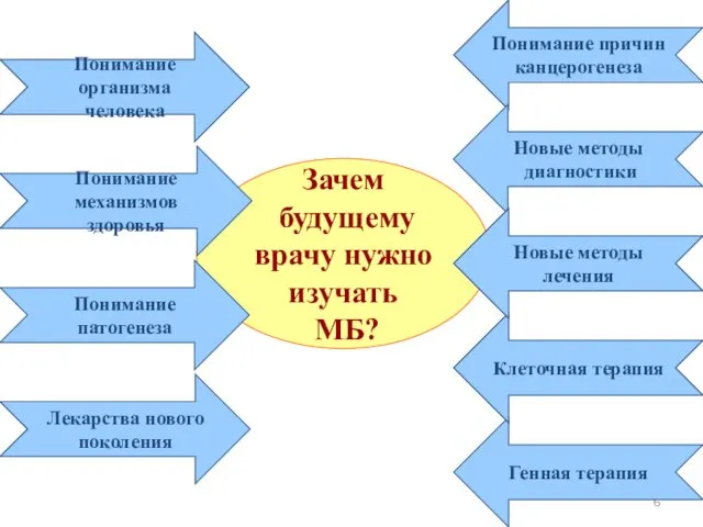 Зачем будущему врачу нужно изучать МБ? Понимание механизмов здоровья Лекарства