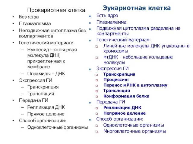 Прокариотная клетка Без ядра Плазмалемма Неподвижная цитоплазма без компартментов Генетический