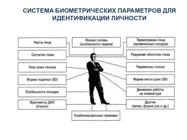 СИСТЕМА БИОМЕТРИЧЕСКИХ ПАРАМЕТРОВ ДЛЯ ИДЕНТИФИКАЦИИ ЛИЧНОСТИ