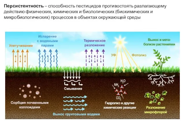 Персистентность – способность пестицидов противостоять разлагающему действию физических, химических и
