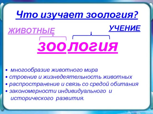 Что изучает зоология? зоо ЖИВОТНЫЕ УЧЕНИЕ логия многообразие животного мира