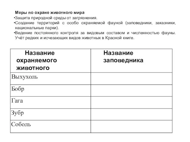 Меры по охране животного мира Защита природной среды от загрязнения.