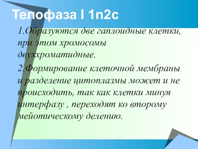 Телофаза I 1n2c 1.Образуются две гаплоидные клетки, при этом хромосомы