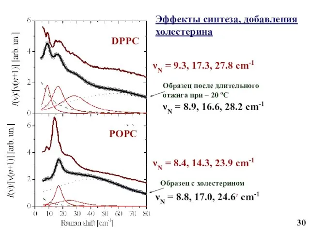 Эффекты синтеза, добавления холестерина DPPC POPC Образец после длительного отжига