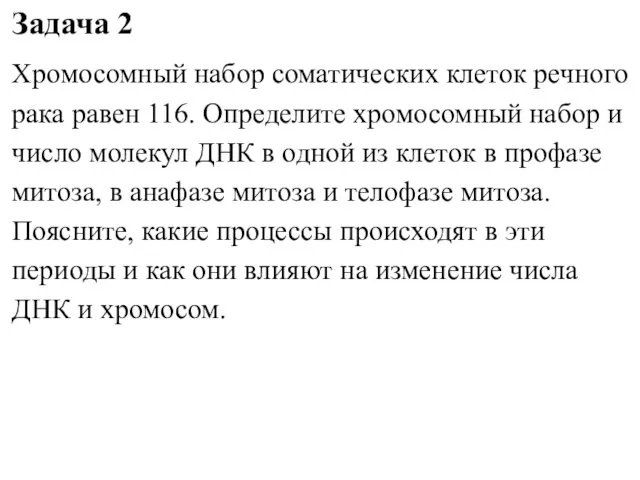 Задача 2 Хромосомный набор соматических клеток речного рака равен 116.