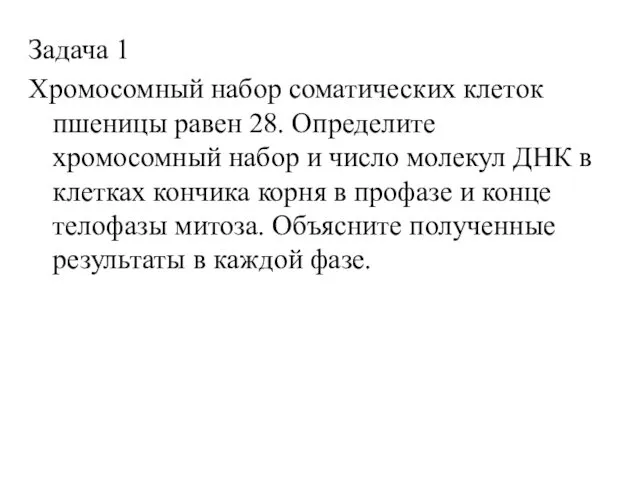 Задача 1 Хромосомный набор соматических клеток пшеницы равен 28. Определите