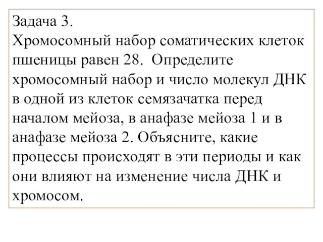 Задача 3. Хромосомный набор соматических клеток пшеницы равен 28. Определите