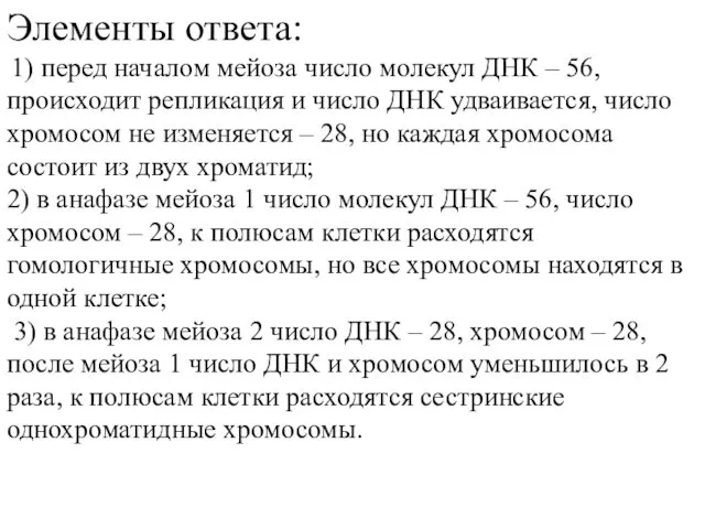 Элементы ответа: 1) перед началом мейоза число молекул ДНК –