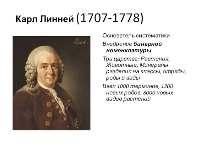 Карл Линней (1707-1778) Основатель систематики Внедрение бинарной номенклатуры Три царства: Растения, Животные, Минералы