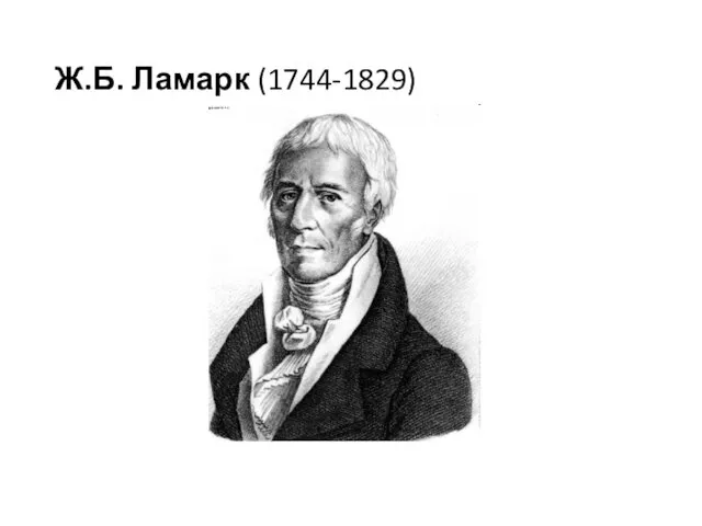 Ж.Б. Ламарк (1744-1829)